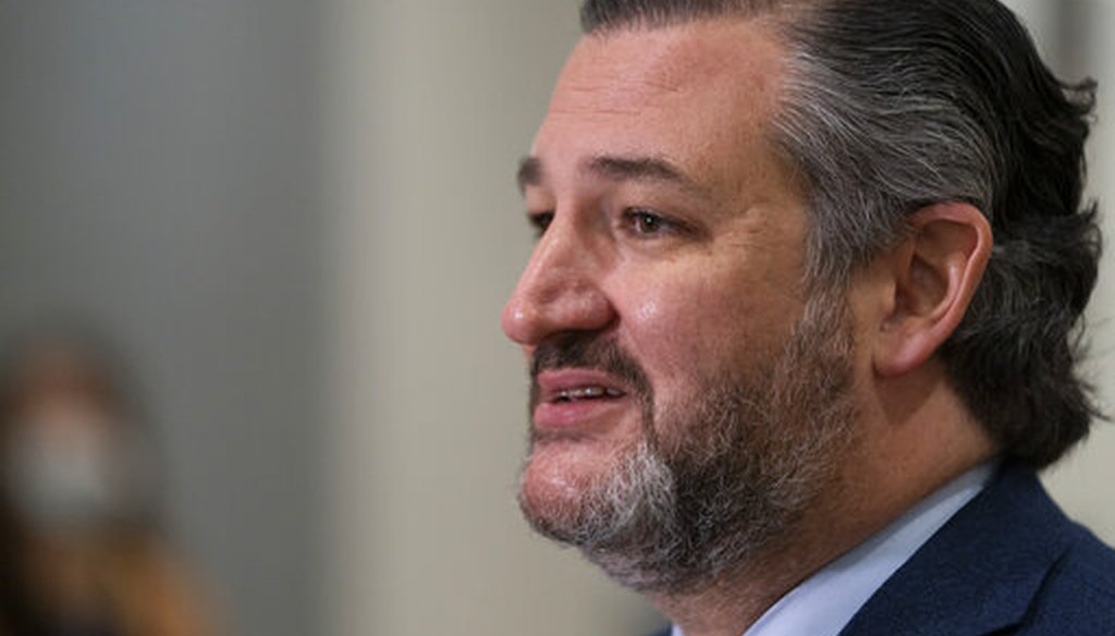 Sen. Ted Cruz, R-Texas, speaks with reporters on Capitol Hill on Feb. 13, 2021. (AP)