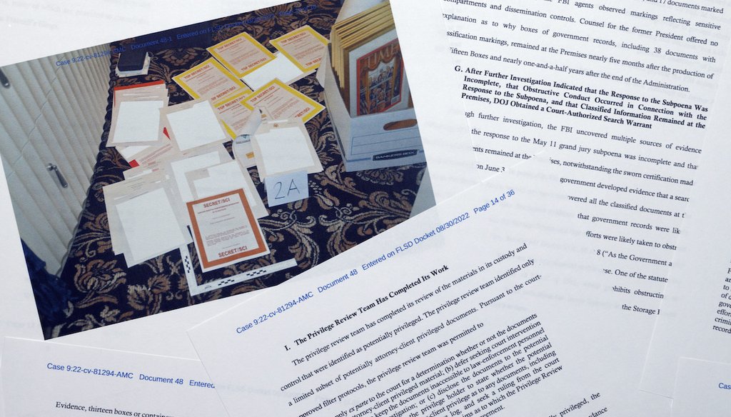 Pages from a Justice Department court filing on Aug. 30, 2022, in Donald Trump's court case seeking a special master to review the documents seized during the Aug. 8, 2022 search of Mar-a-Lago. (AP)
