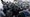 In this Jan. 6, 2021, file photo, U.S. Capitol Police push back rioters trying to enter the U.S. Capitol in Washington.